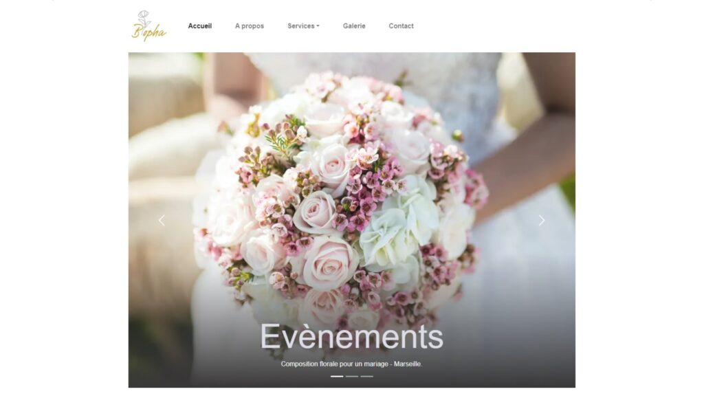 page accueil du site Bopha