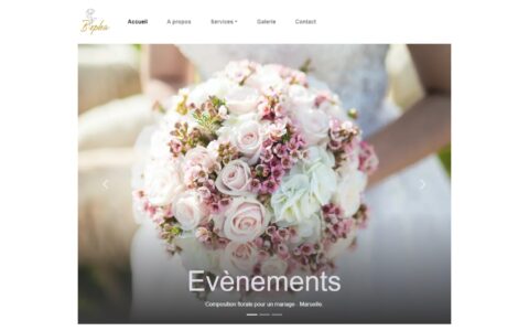 page accueil du site Bopha